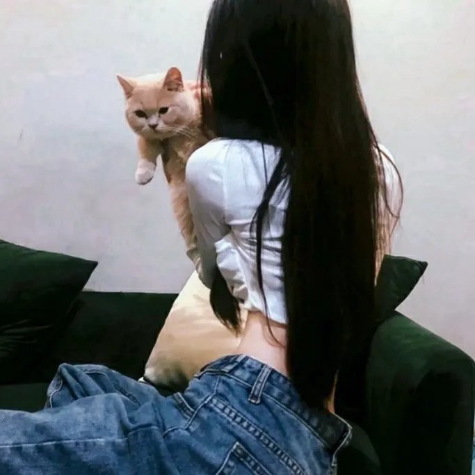 狮子王2019